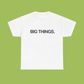 BIG THINGS