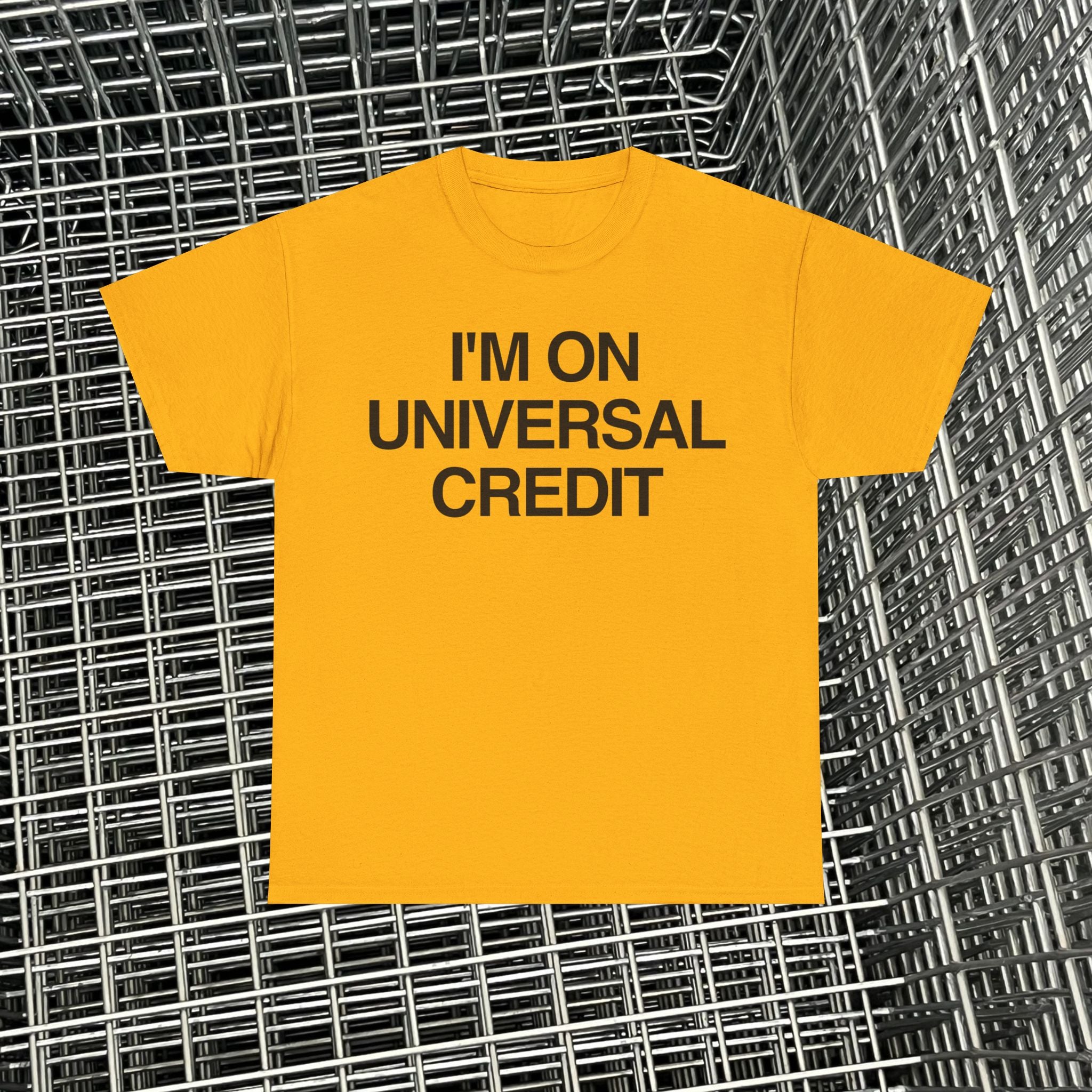 UNIVERSAL CREDIT